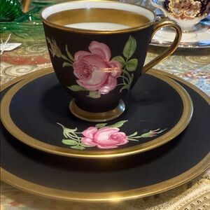 Black Beauty Tea cup , saucer and dessert dish